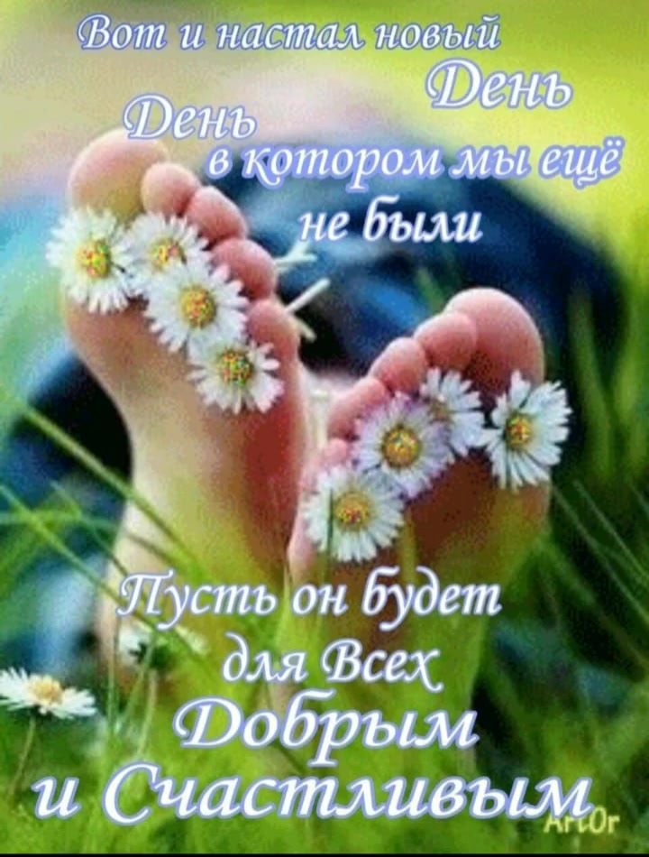 @Anjo👼♒️