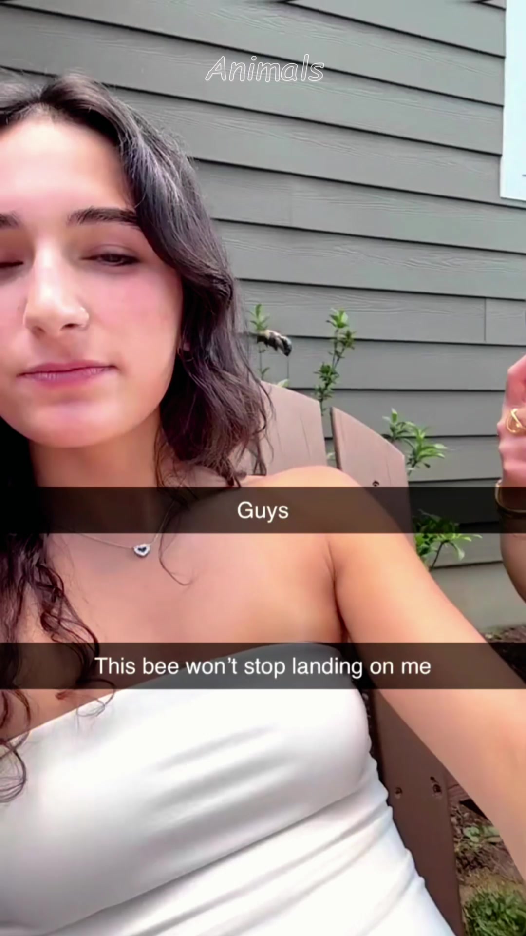 @funnybaby176