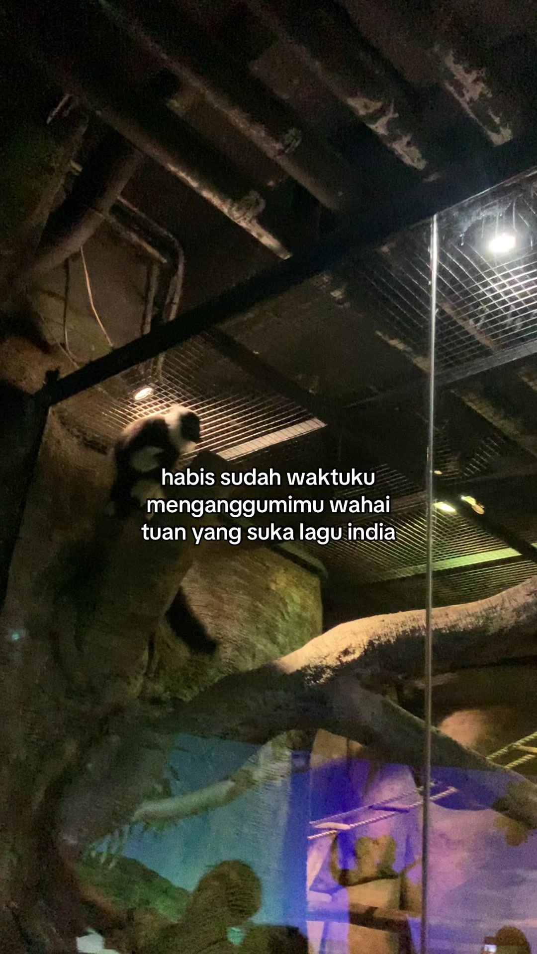 @its.me