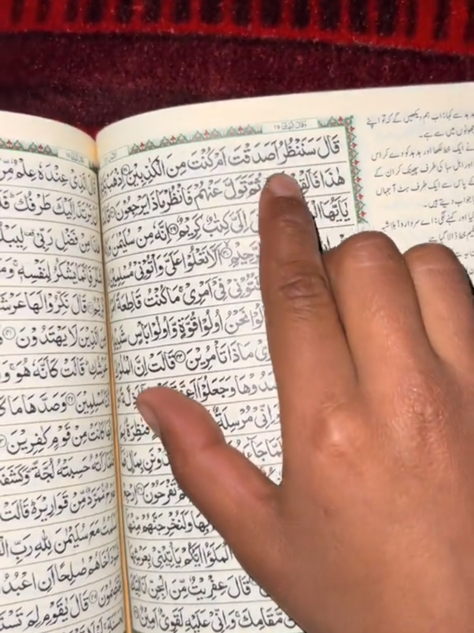 @Hijabi _queen 994 🧕