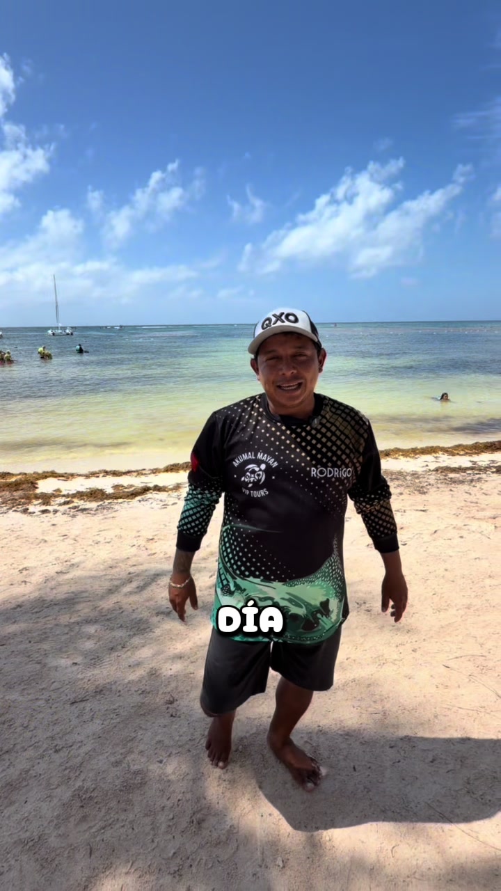 @akumal mayan vip tours