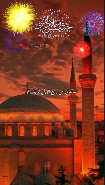 @kamran