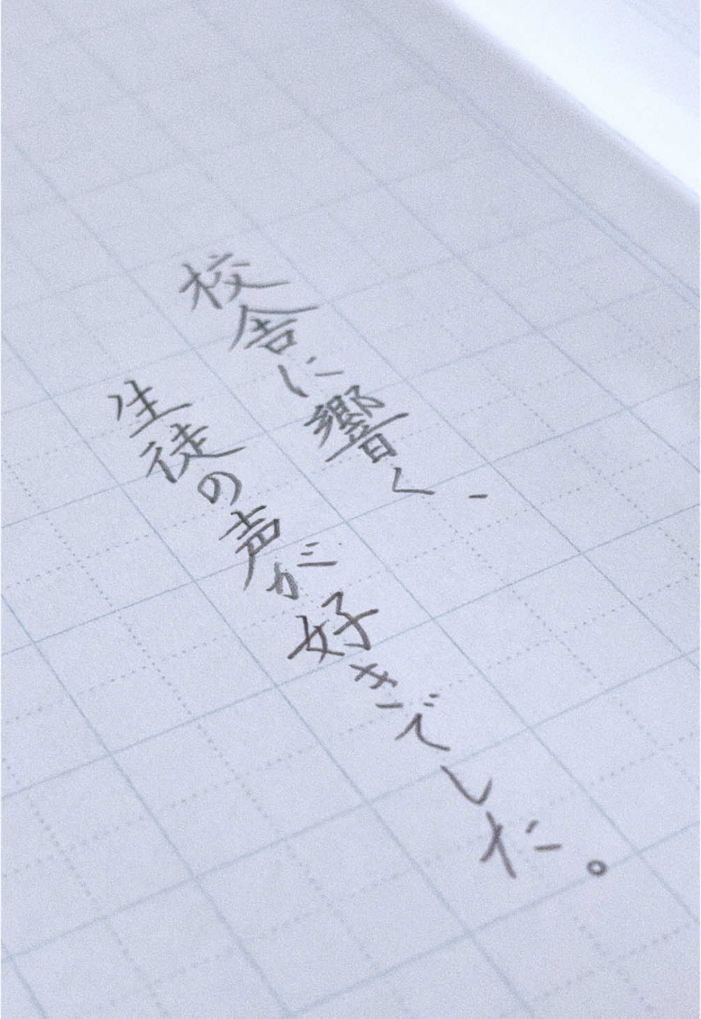 @茉 莉