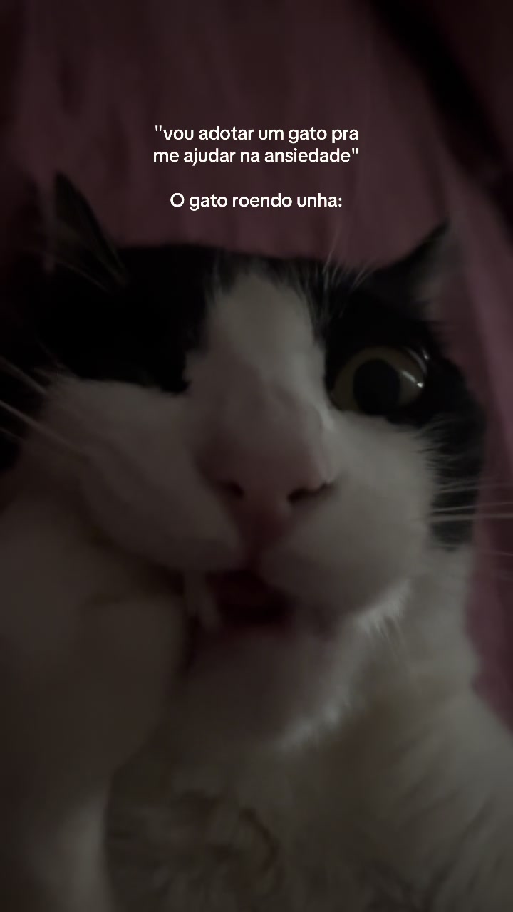 @𝐜𝐚𝐦𝐬