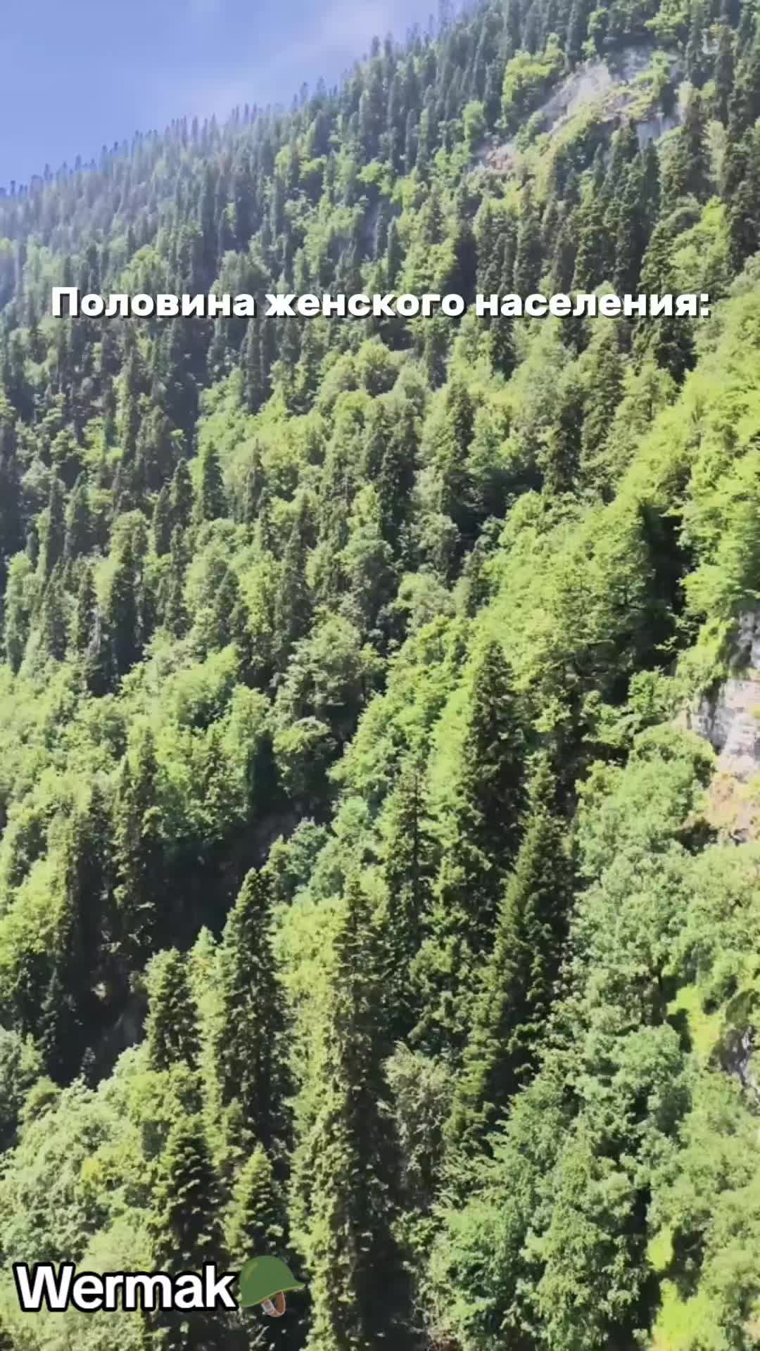 @wermak🪖
