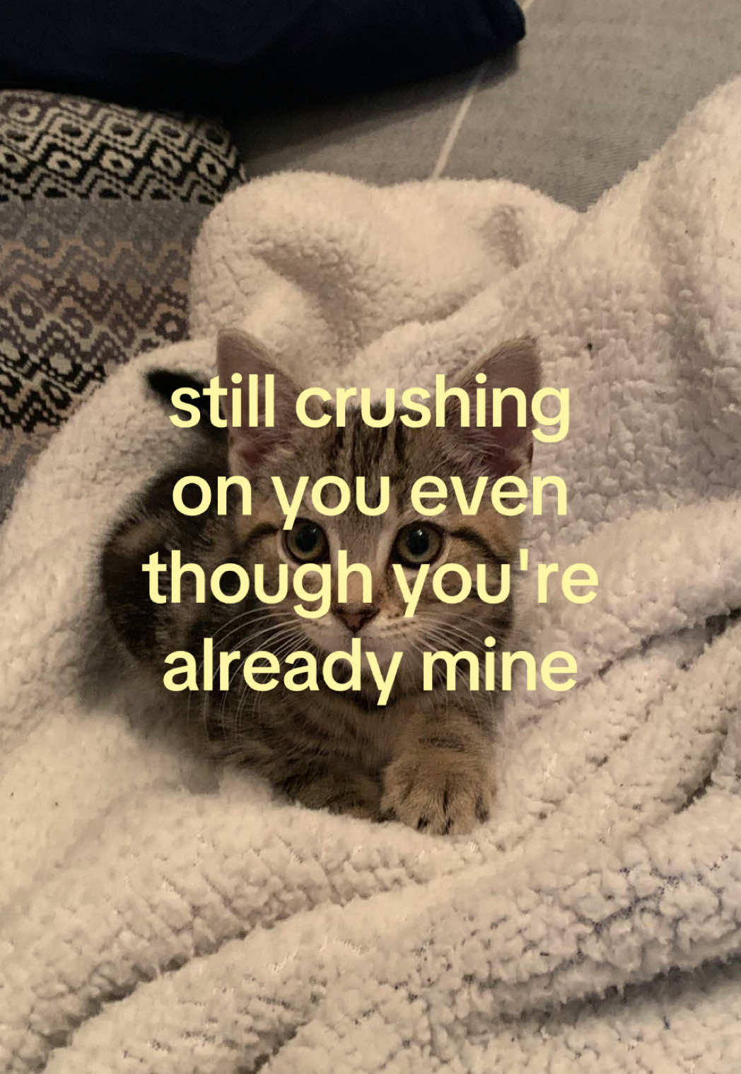 @caughtafeeling