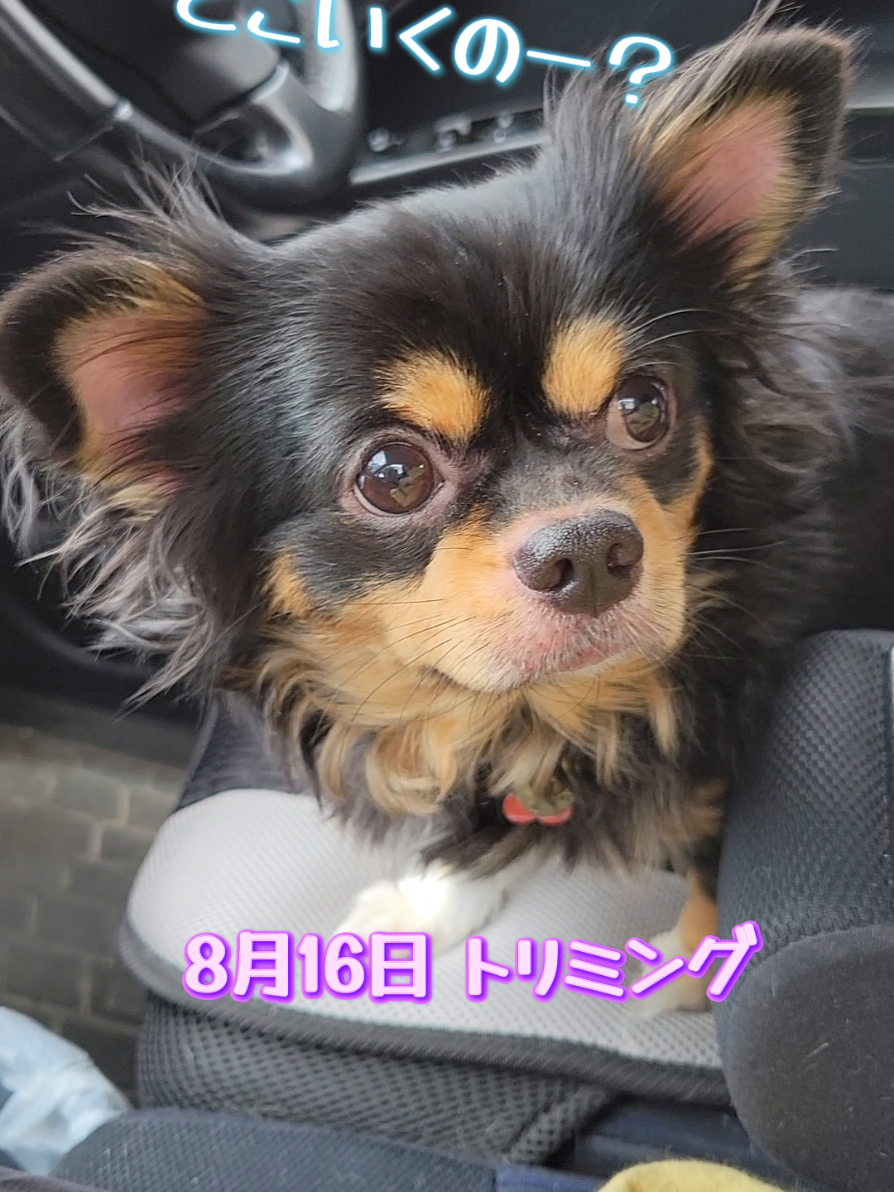 @くぅ♂︎成長日記♡