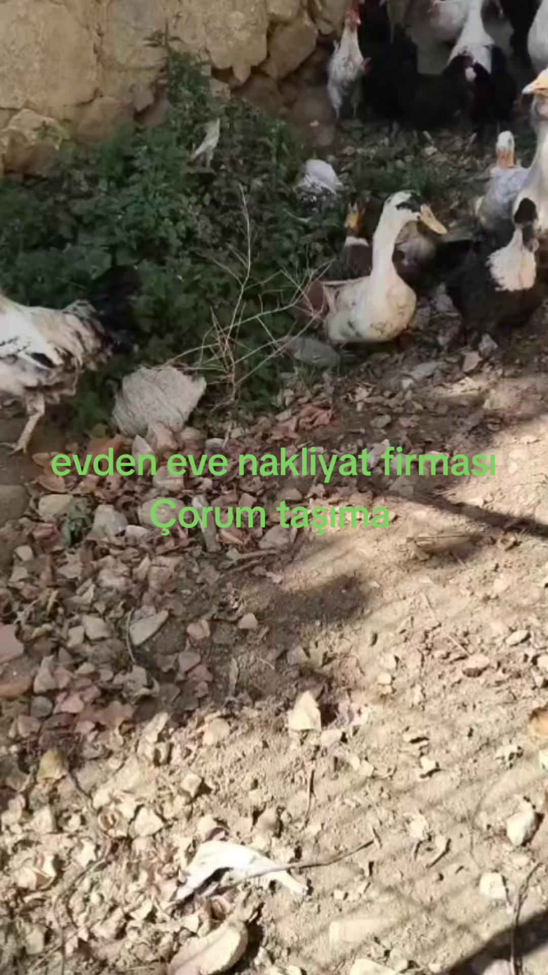 @Çorum Taşıma