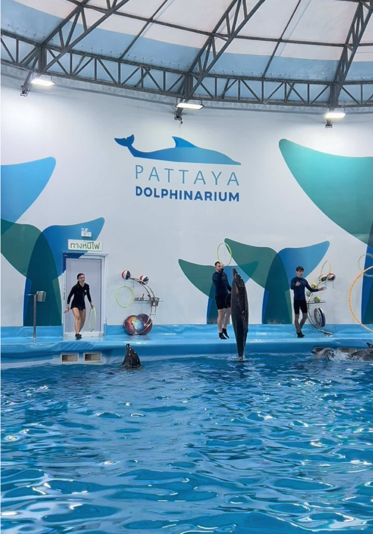 @Pattaya Dolphinarium