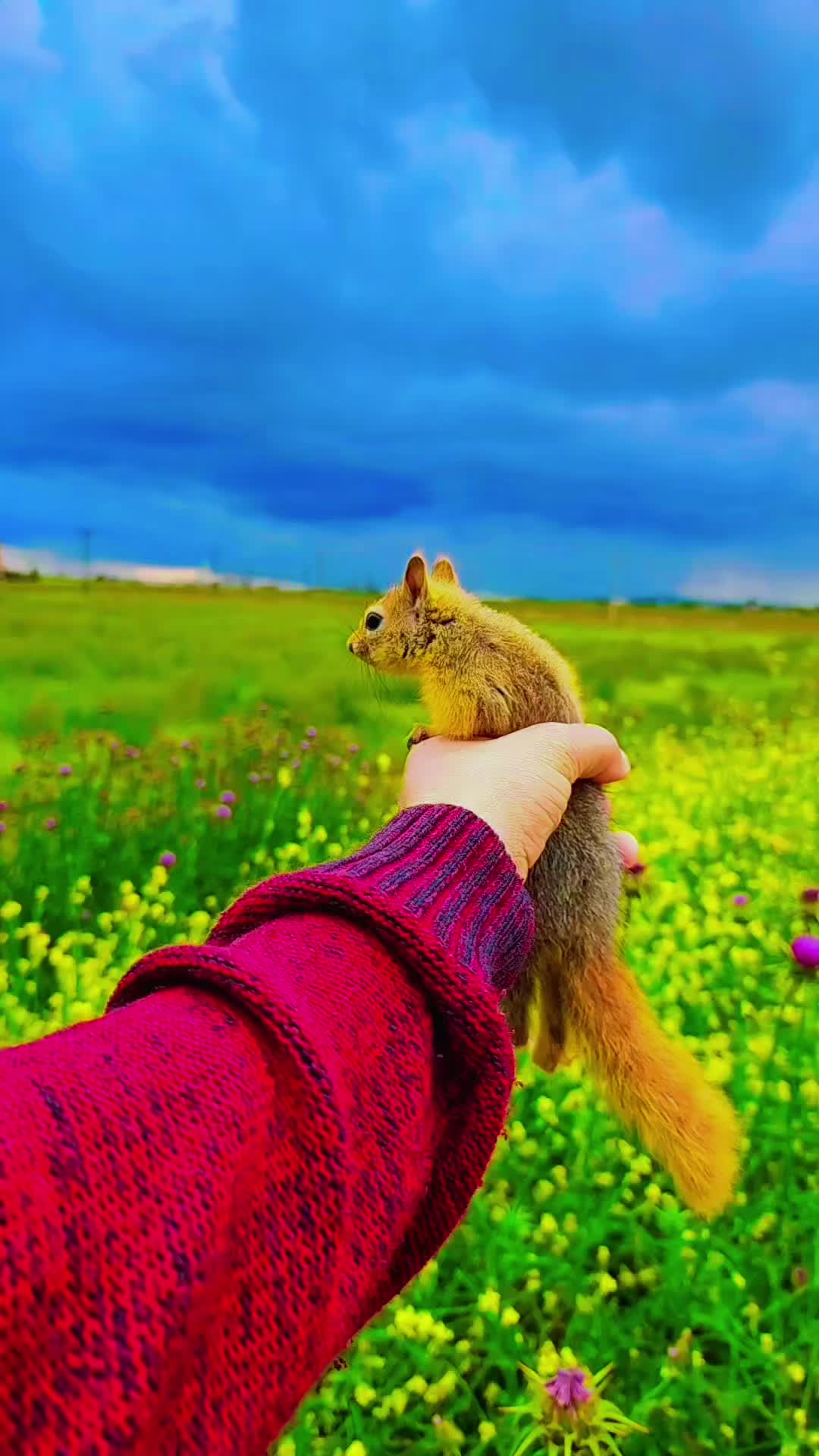 @İbrahim Karğı4747