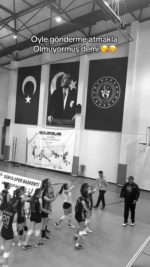 @vefaalvoleyboll