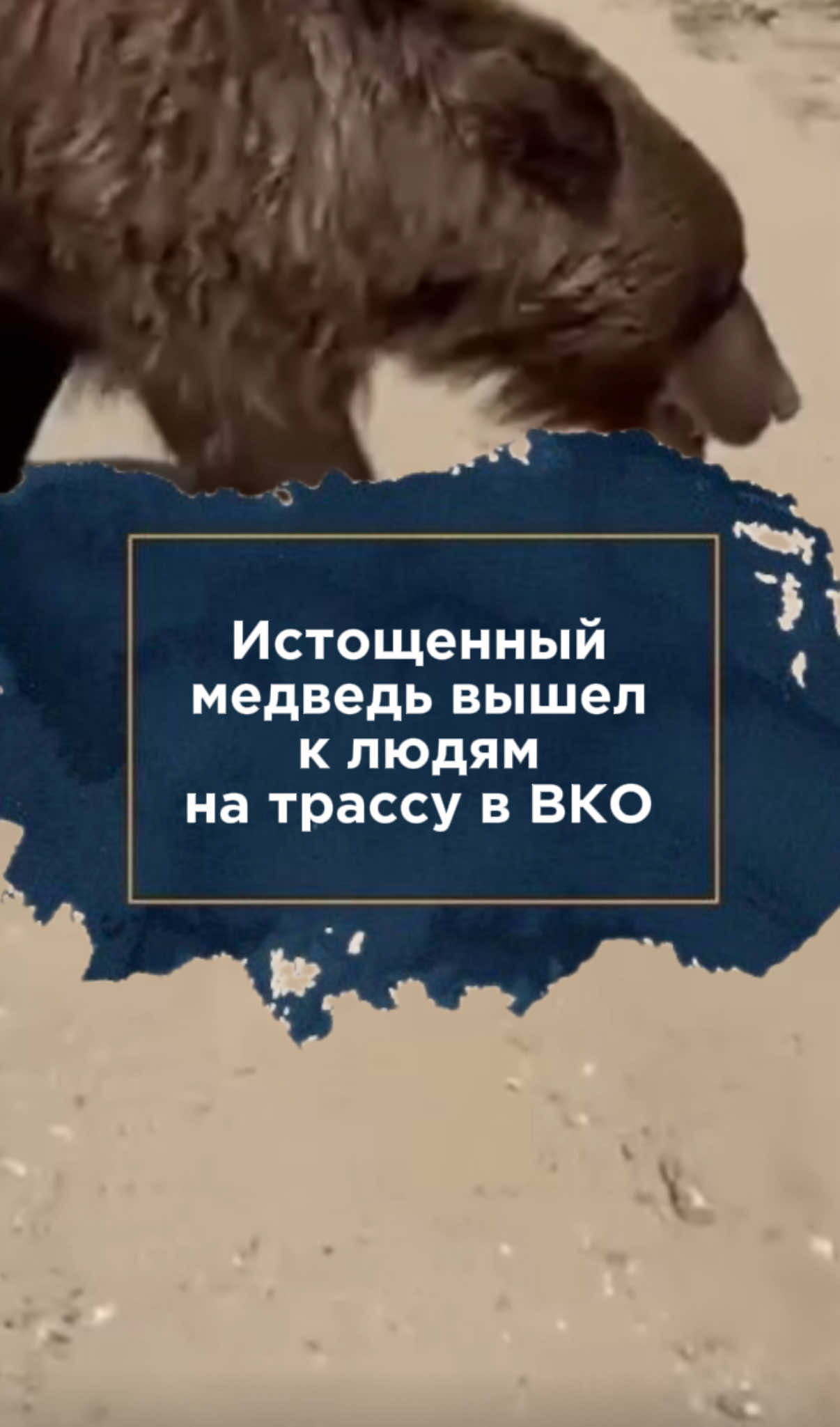 @zakon.kz ➡️ Новости Казахстана
