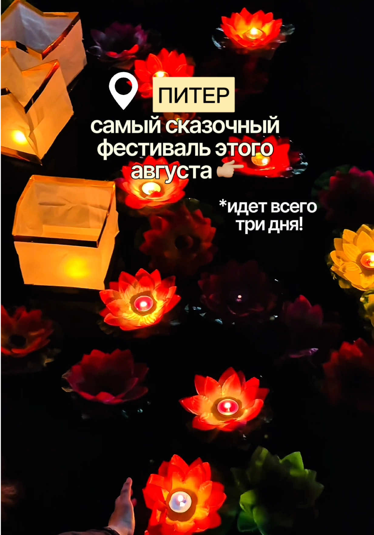 @alina_chikovaa