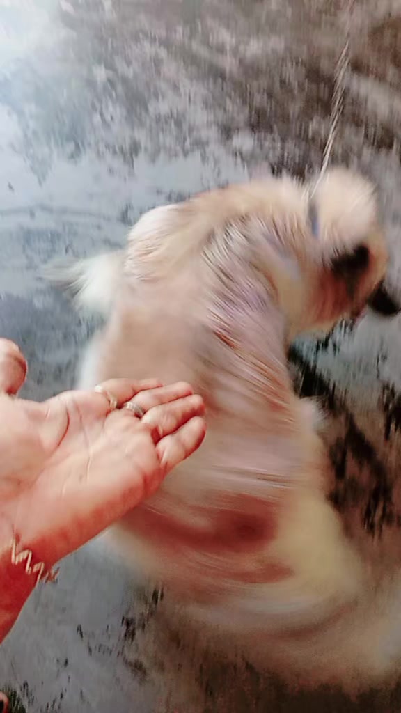 @k⃠ʊ𝓣𝓣𝓨 Q⃠&upsilon;ꫀꫀꪀ  k⃠ꪖтℏṳ💃✺✿◎