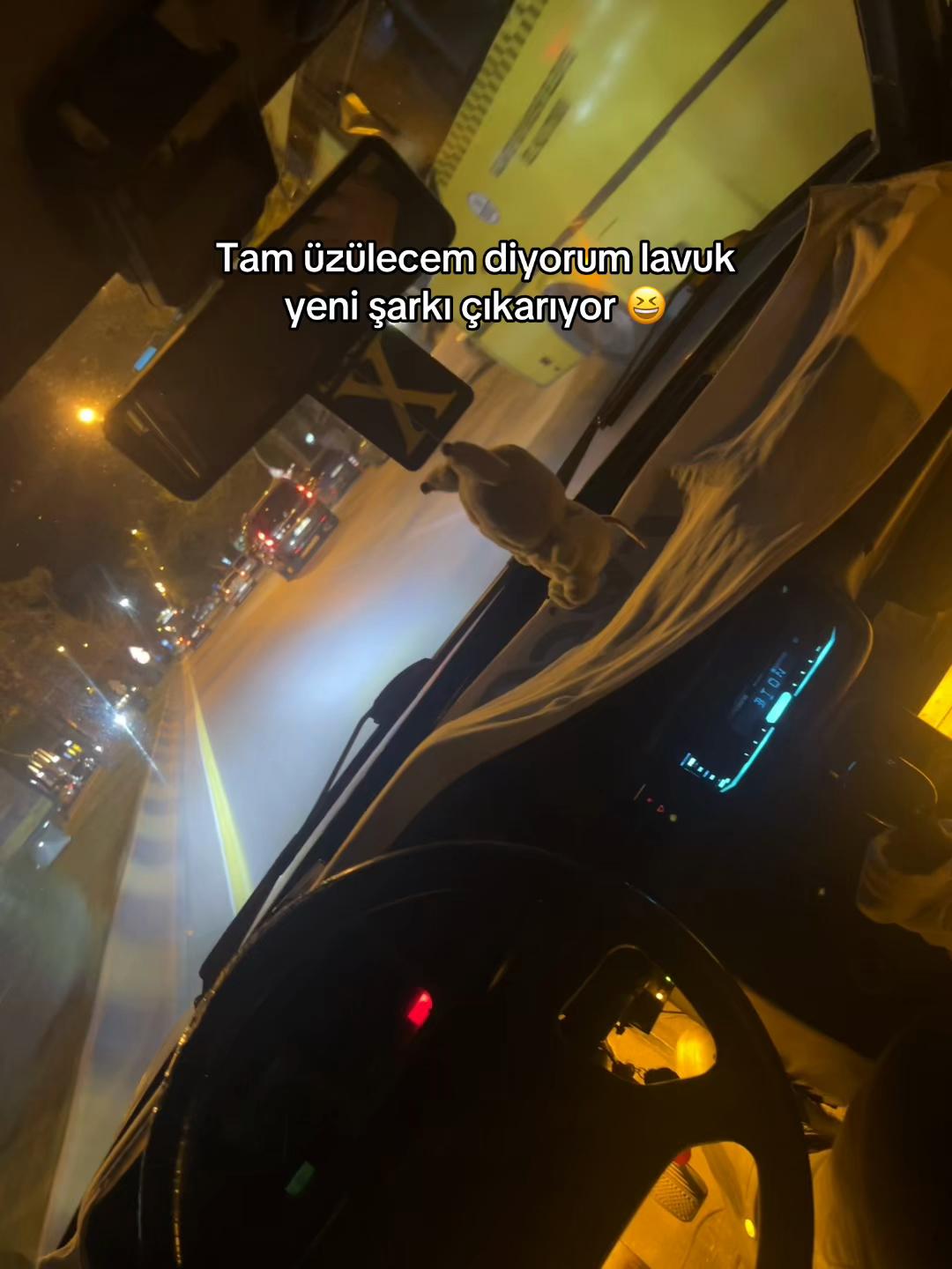 @Ali