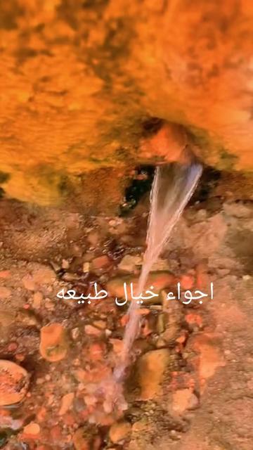 @المهري✌️دااعم اكسبلور