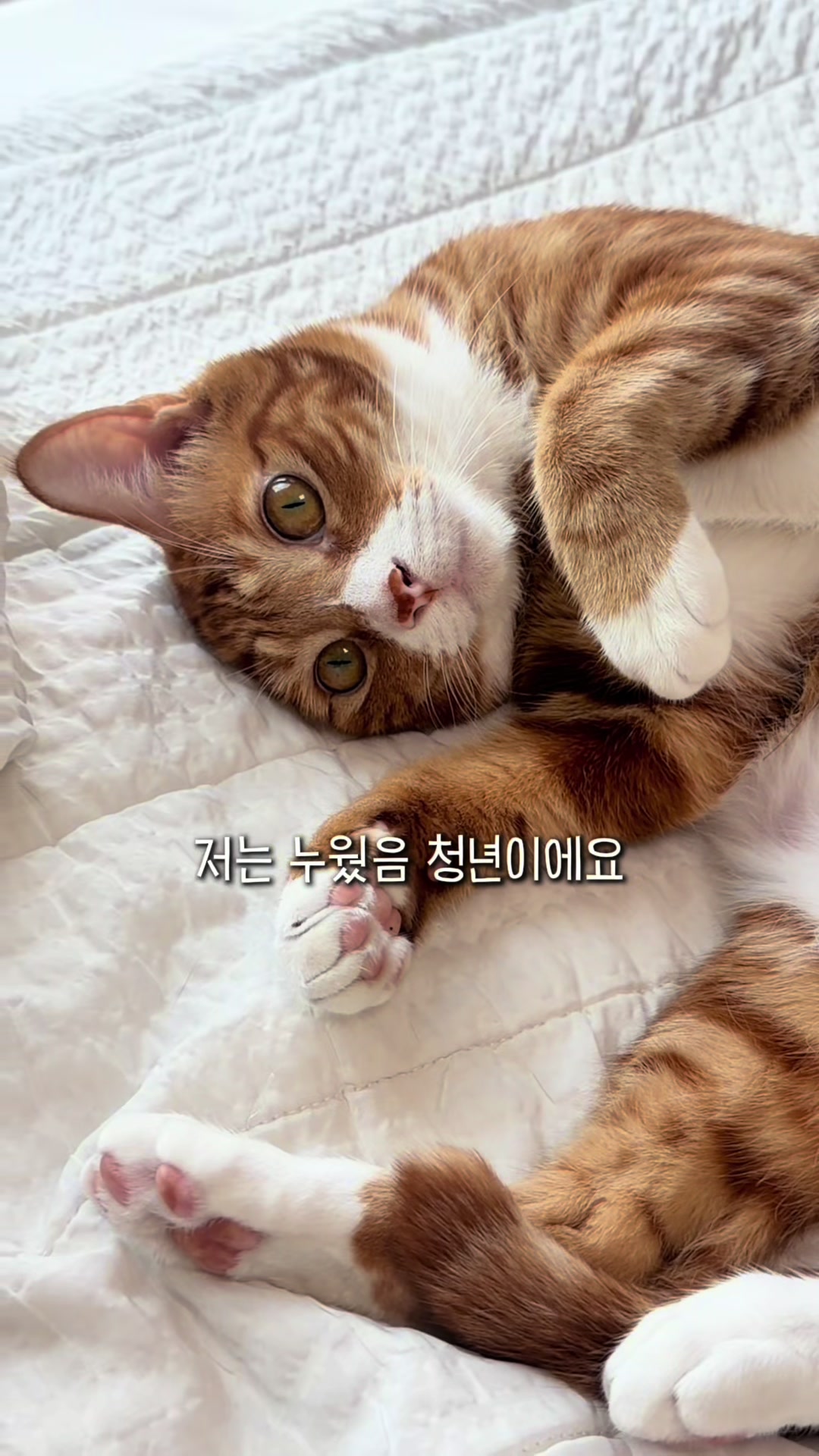 @뮤춘삼