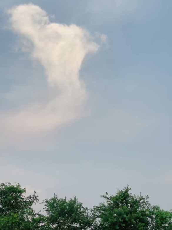 @š¬ Ų§Ų³ŲÆ ŚÆŁŪ š·