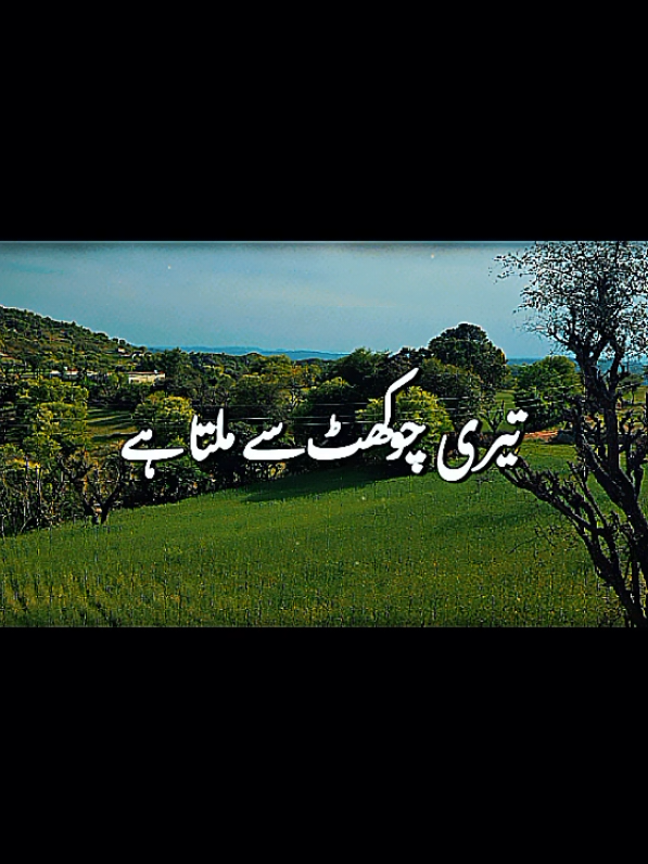 @Najah📈
