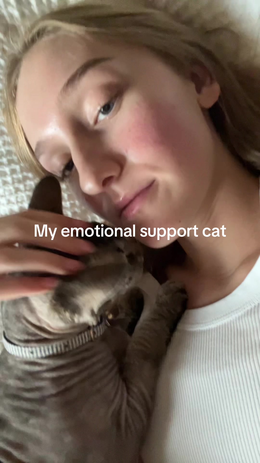 @lyds.