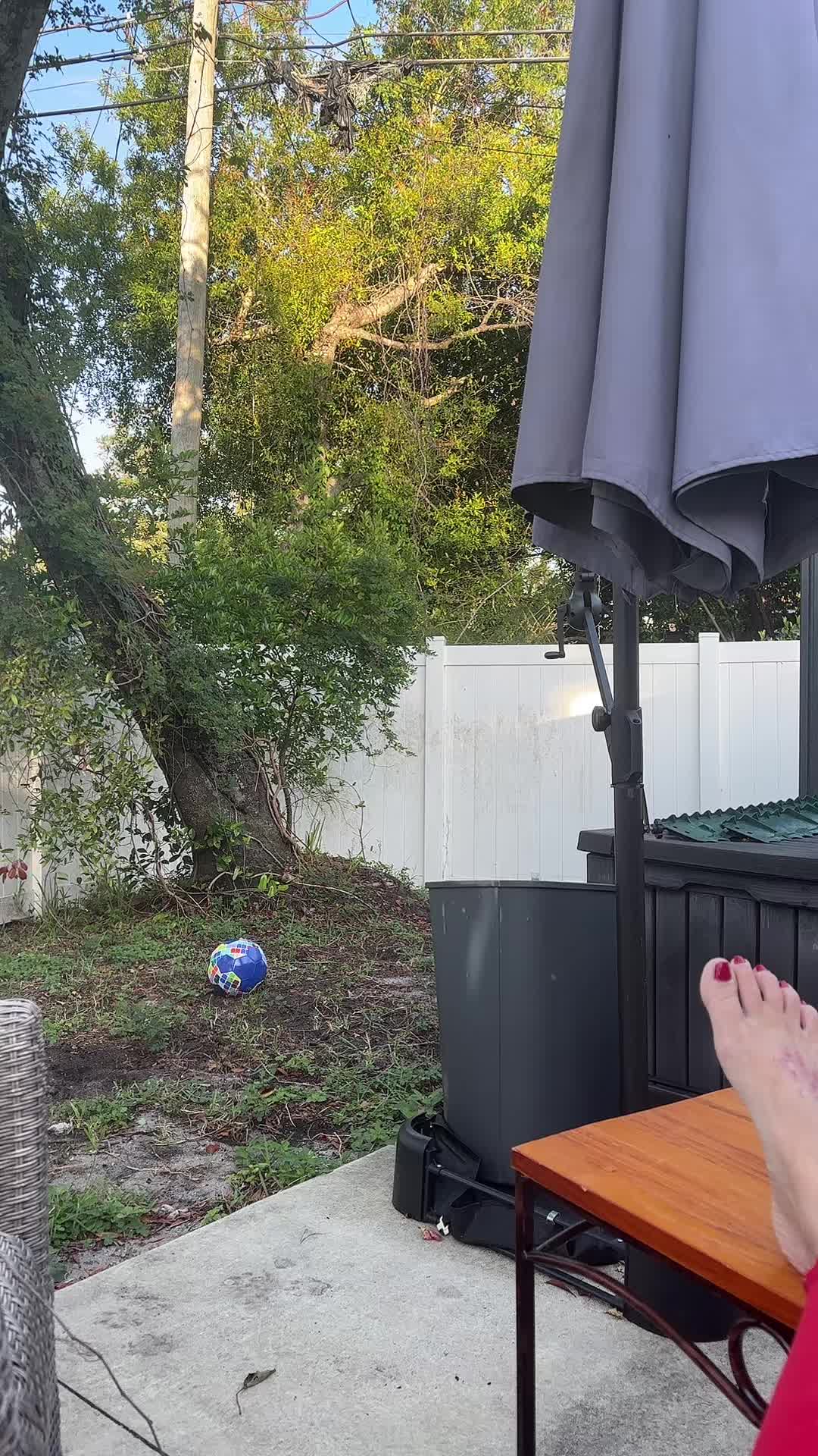 @Jazmyn_Kathleen