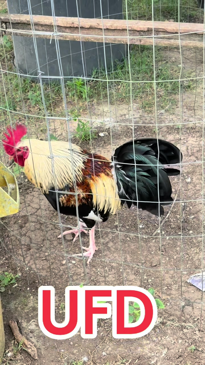 @Bryan Gamefarm