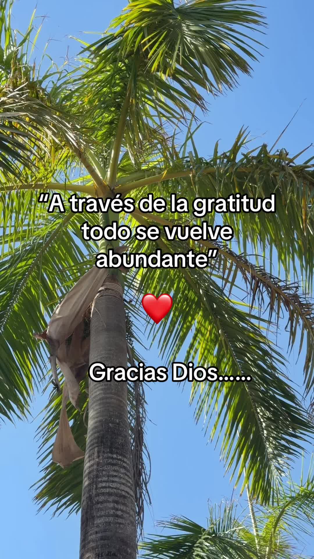 @frases_para_tupagina