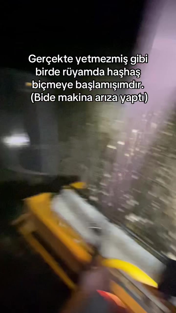 @EfecanÖzdoğan_43