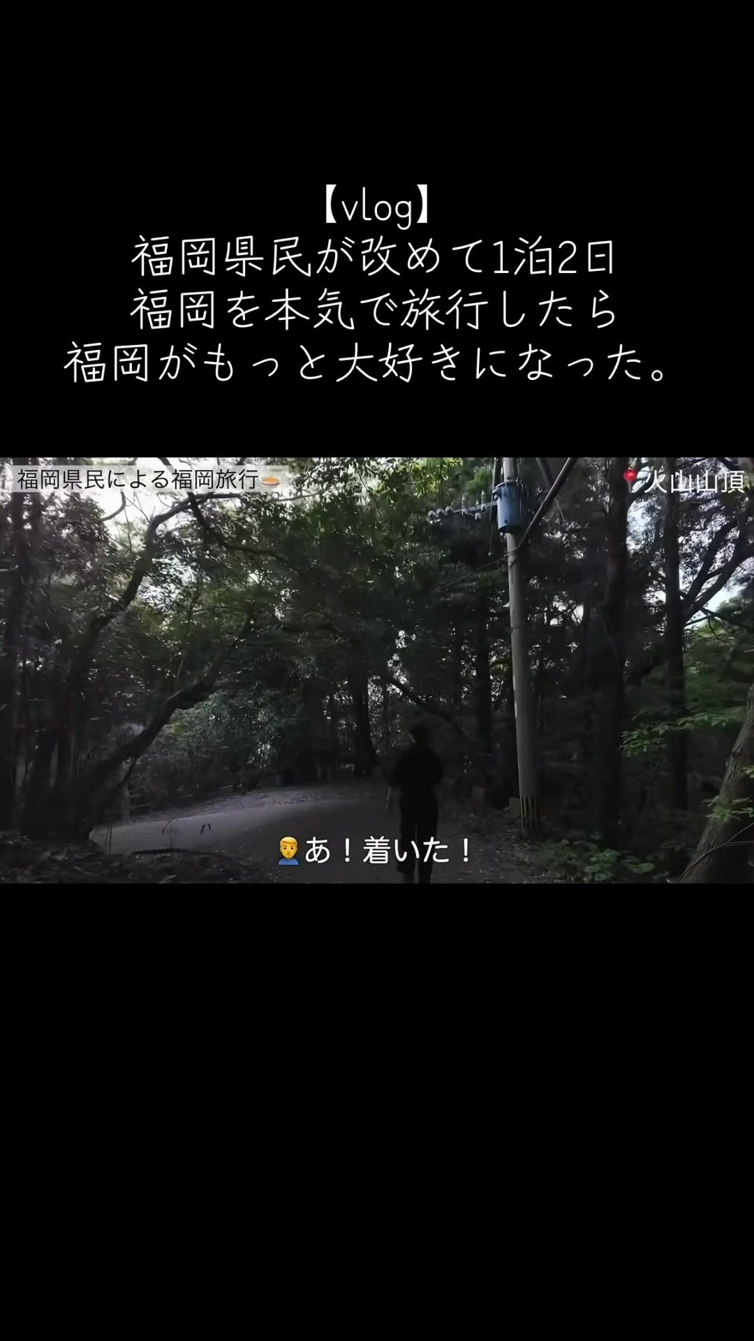 @たいせい🦍