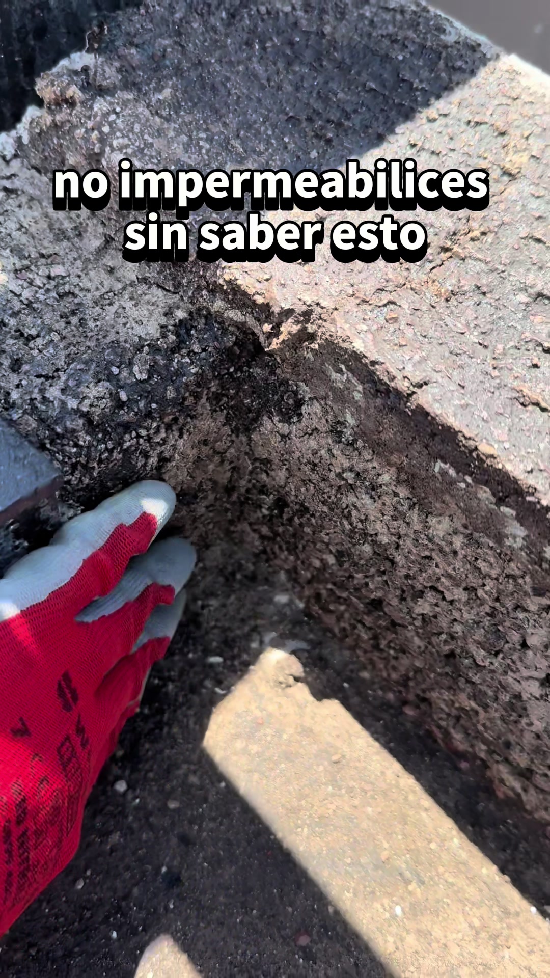@ImperYisus