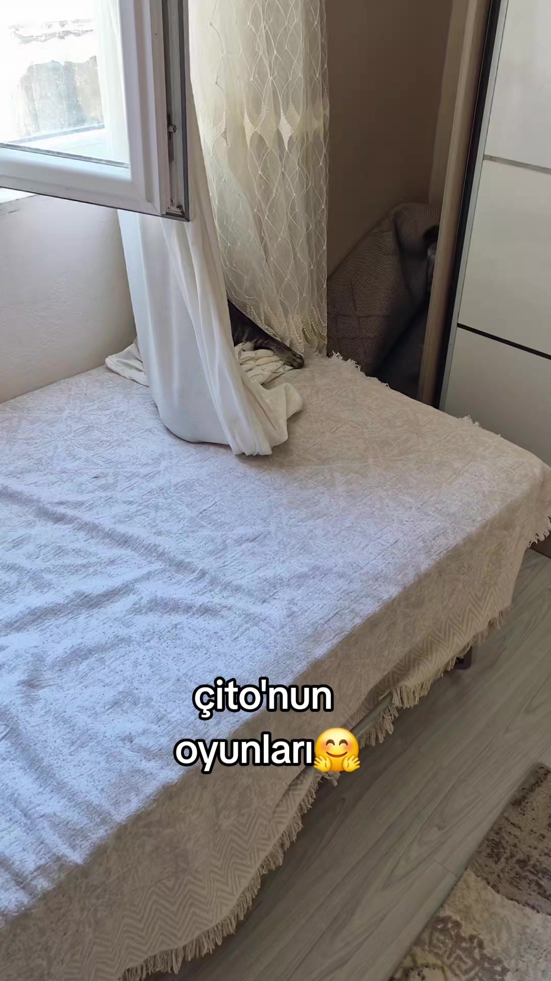 @kuzey
