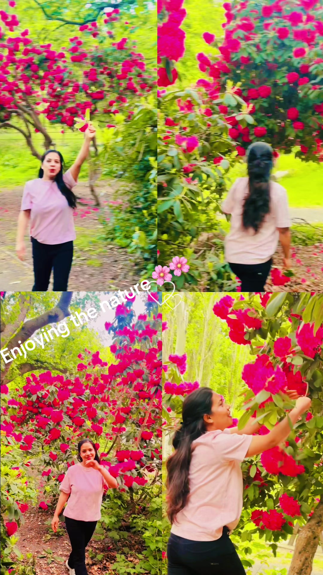 @shobhabudhathoki22