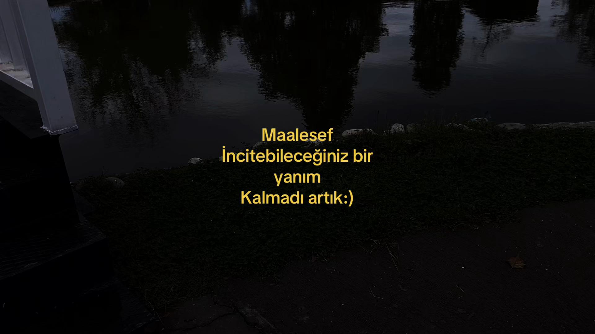 @𝓜.