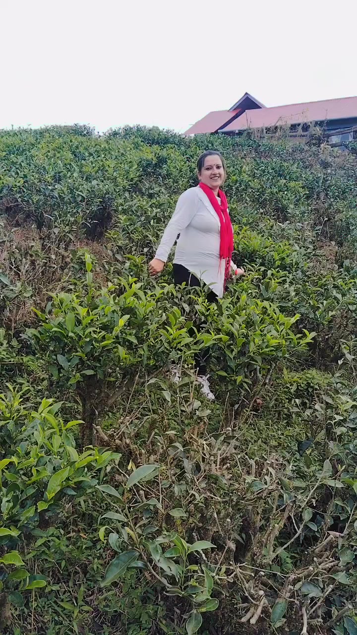 @Sita acharya 270