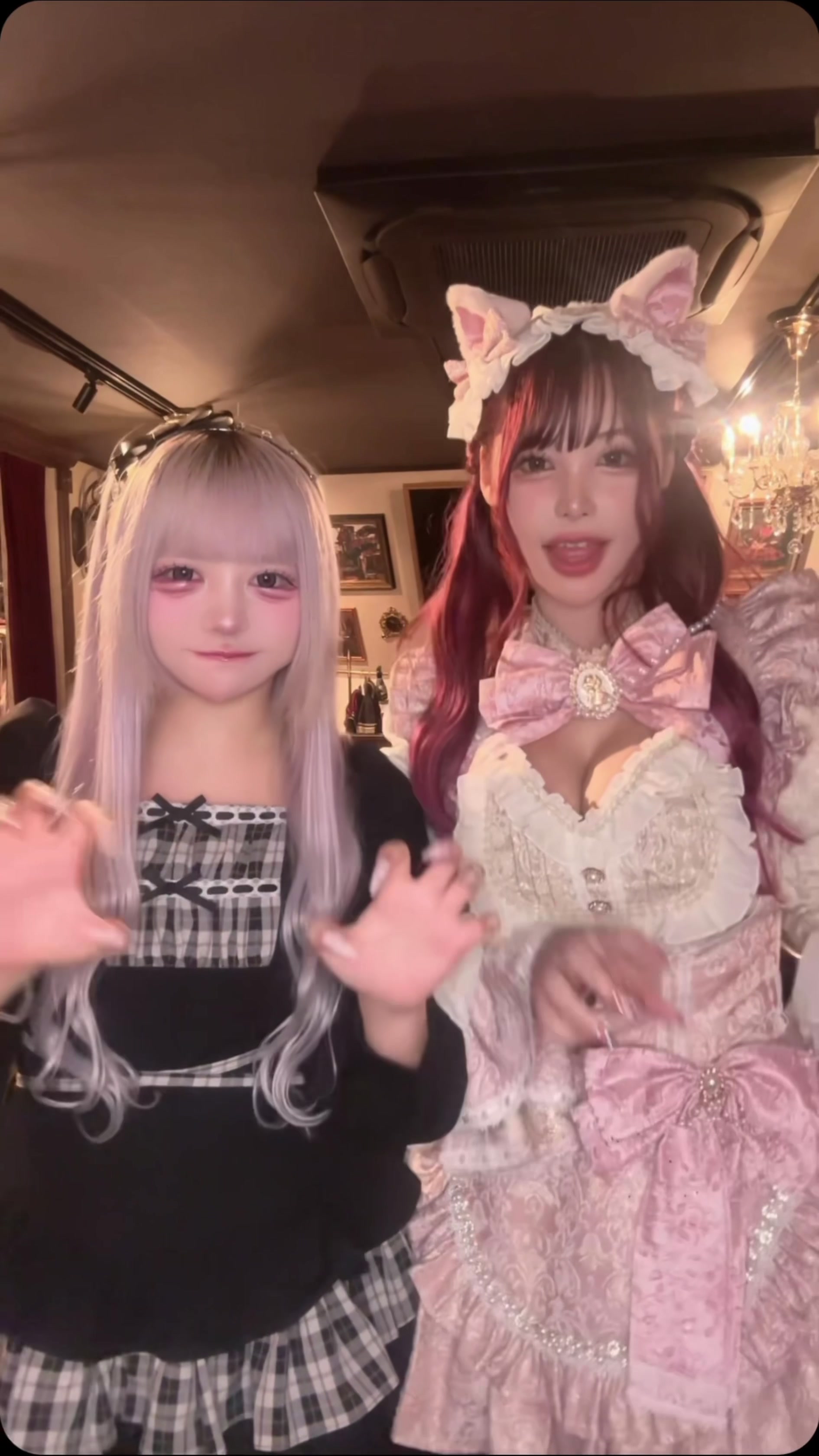 @ミヌエット爆飼いTV