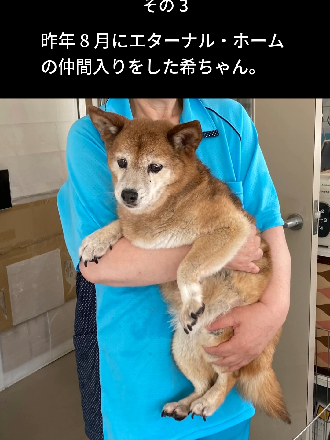 @NPO法人エターナル・ホーム