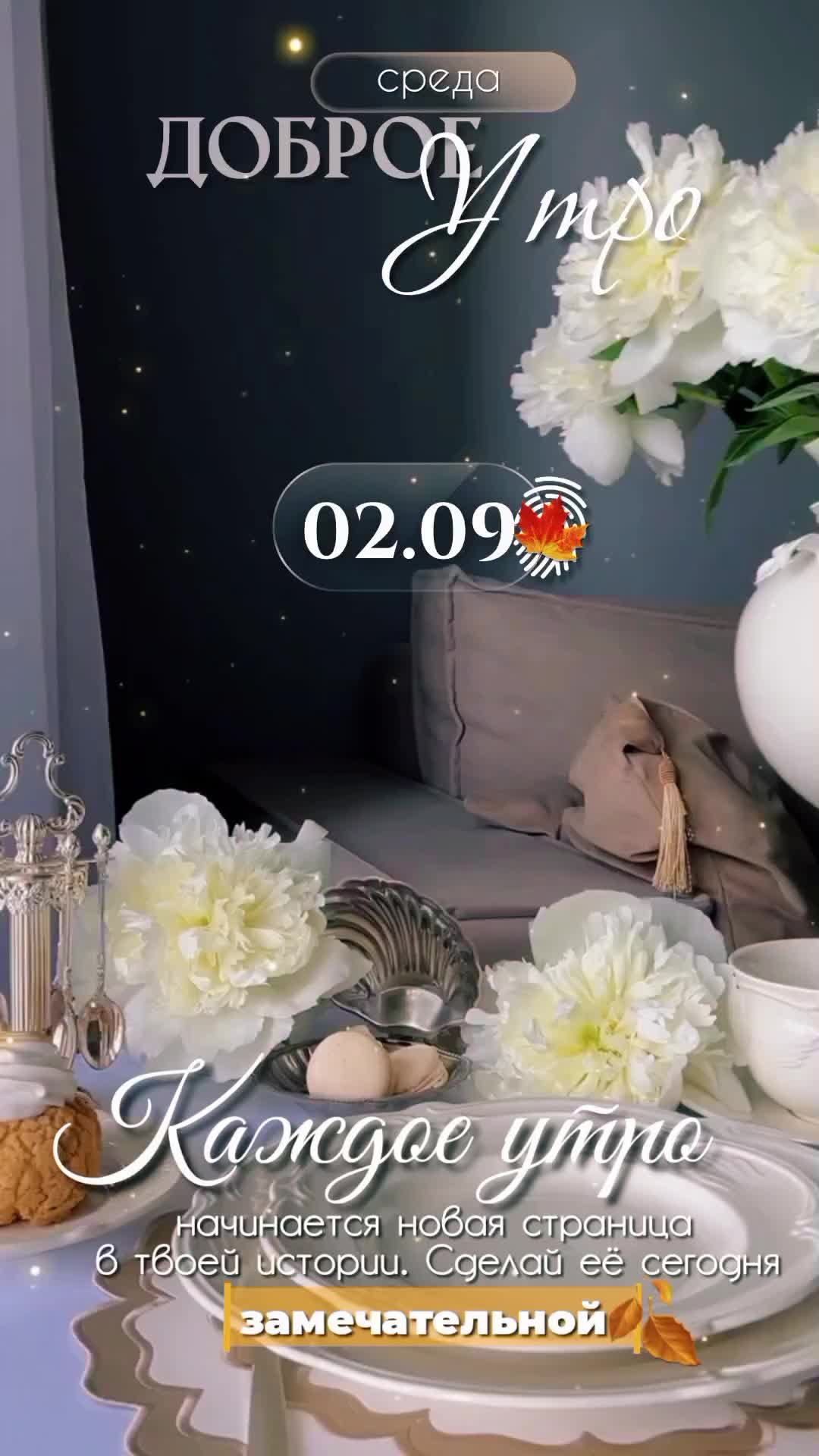 @✨𝐴 𝑔 𝑎 𝑡 𝑎 ꨄ✨💫☕