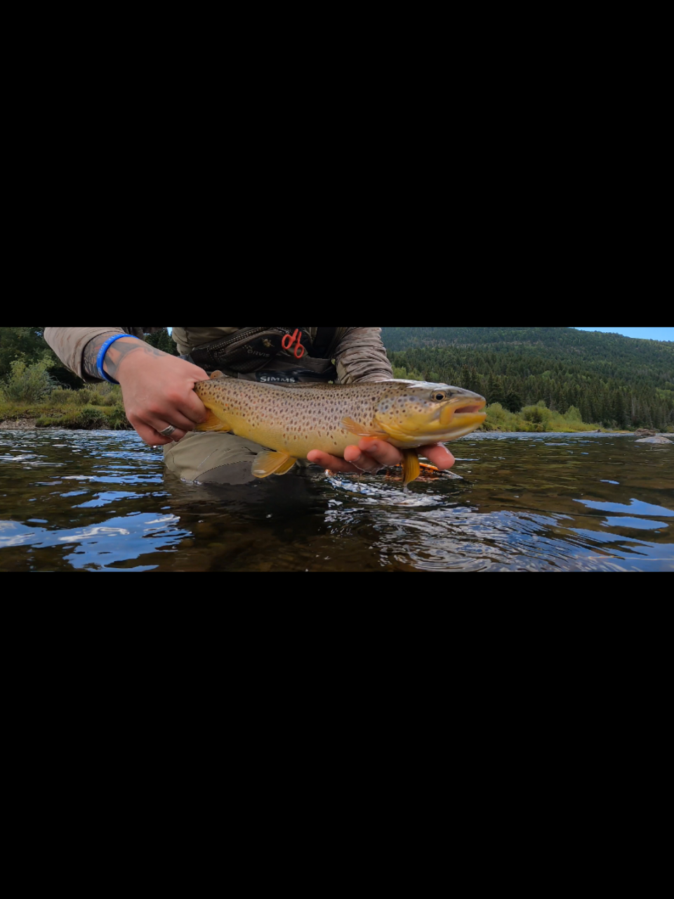 @ChasingTheHighOnFly.NM
