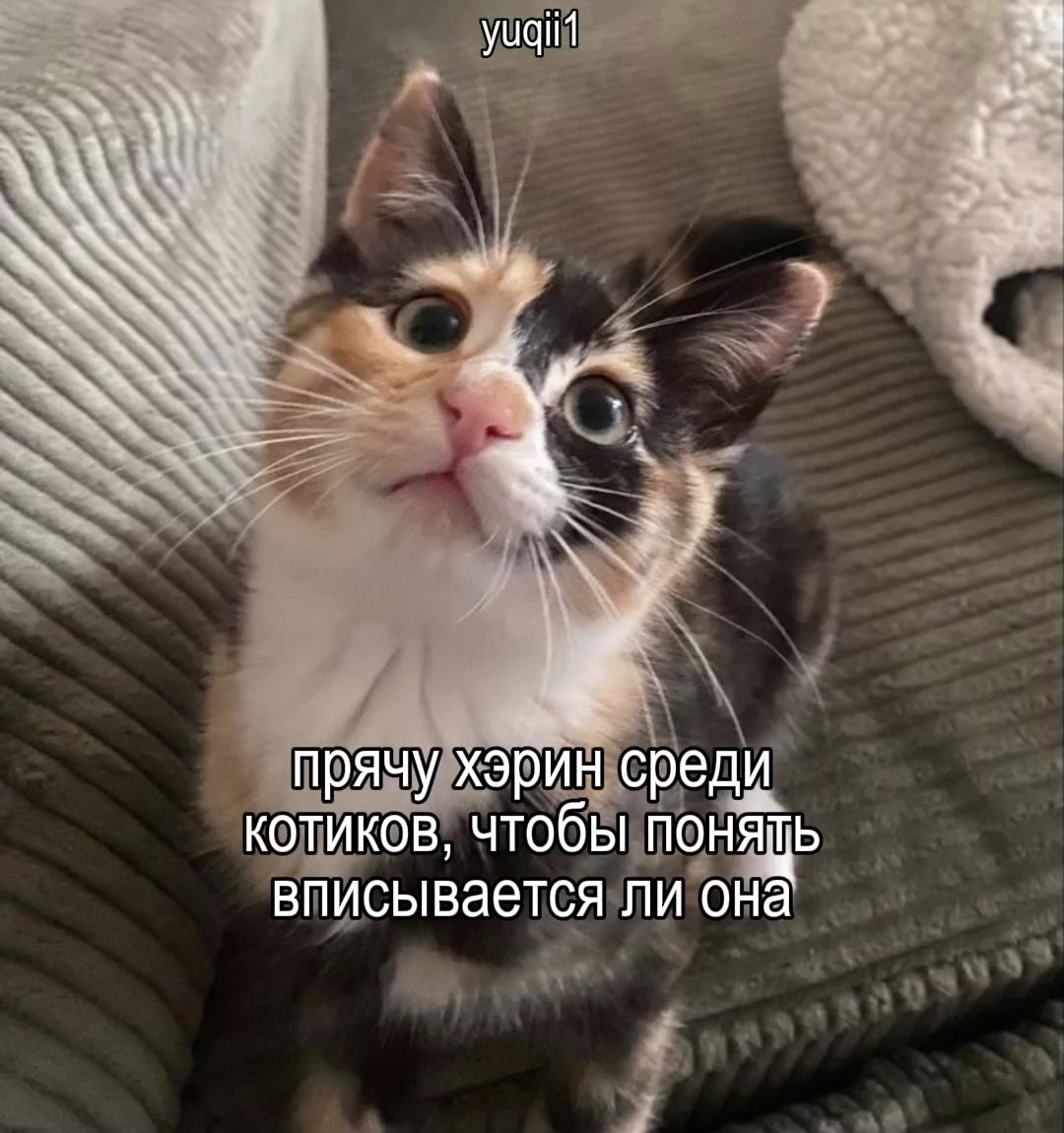 @пчёлка бзз 🐝 | баннисневи 🫧