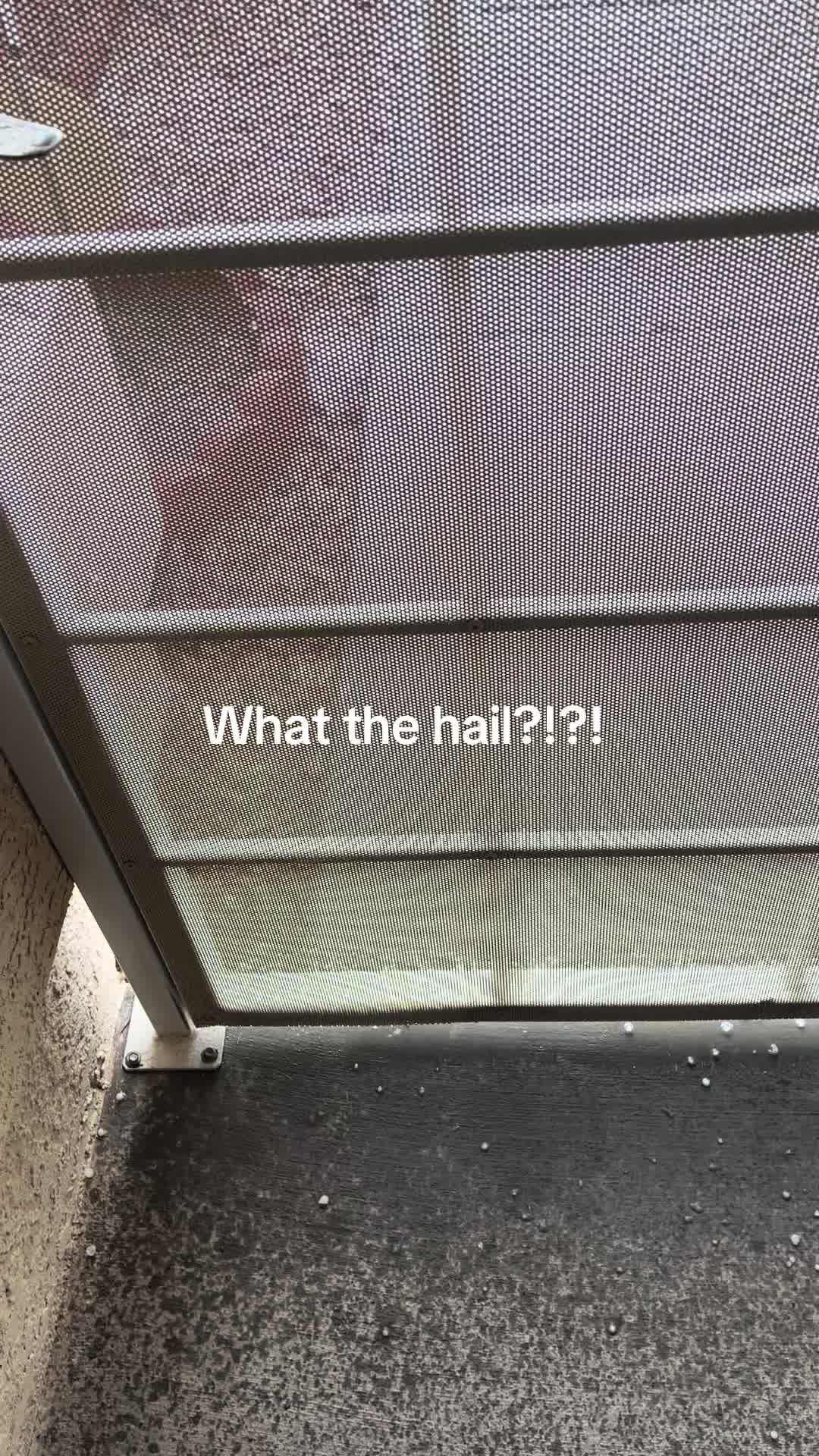 @Riceball