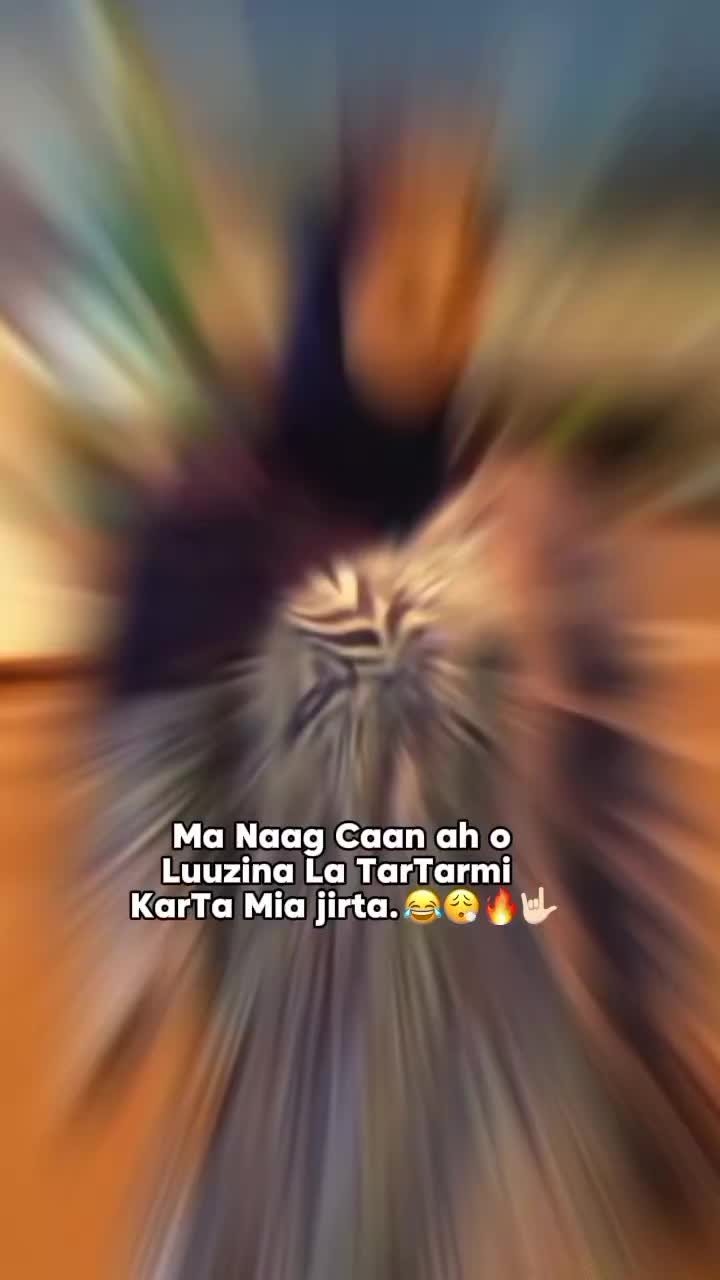 @PrincessBilkhayr💫🤍👸🏼