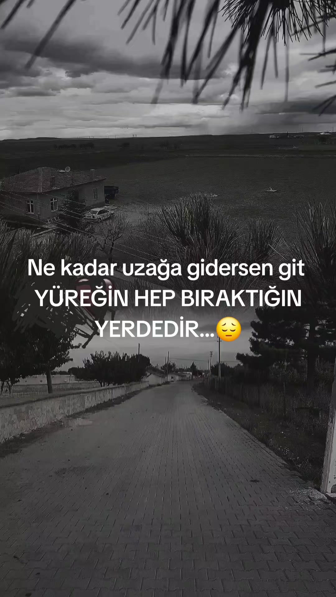 @Zarova42