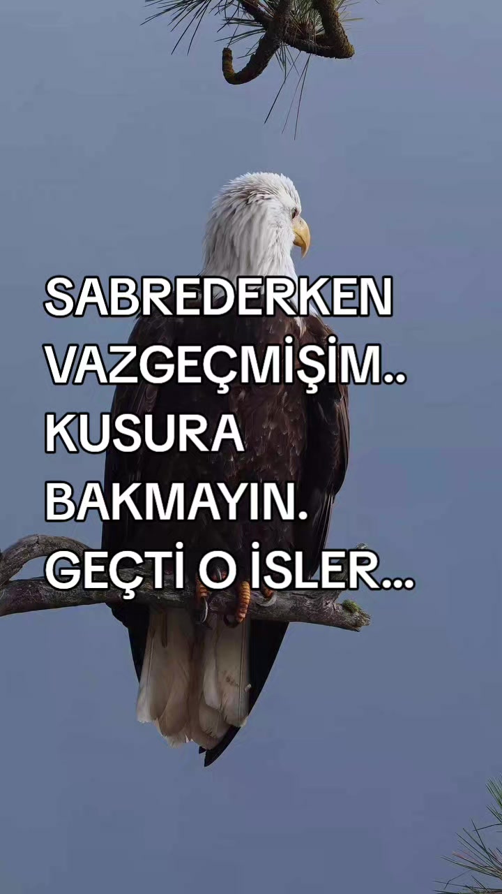@__İREM__
