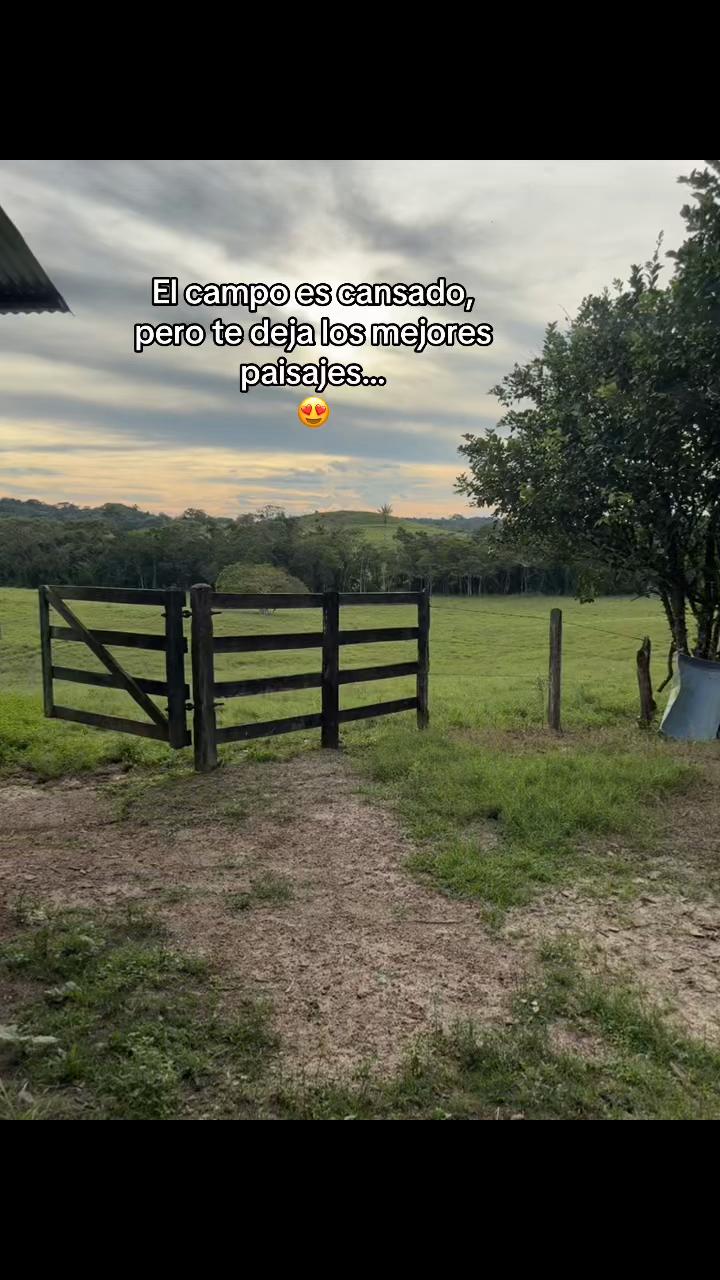 @Didier_🤠