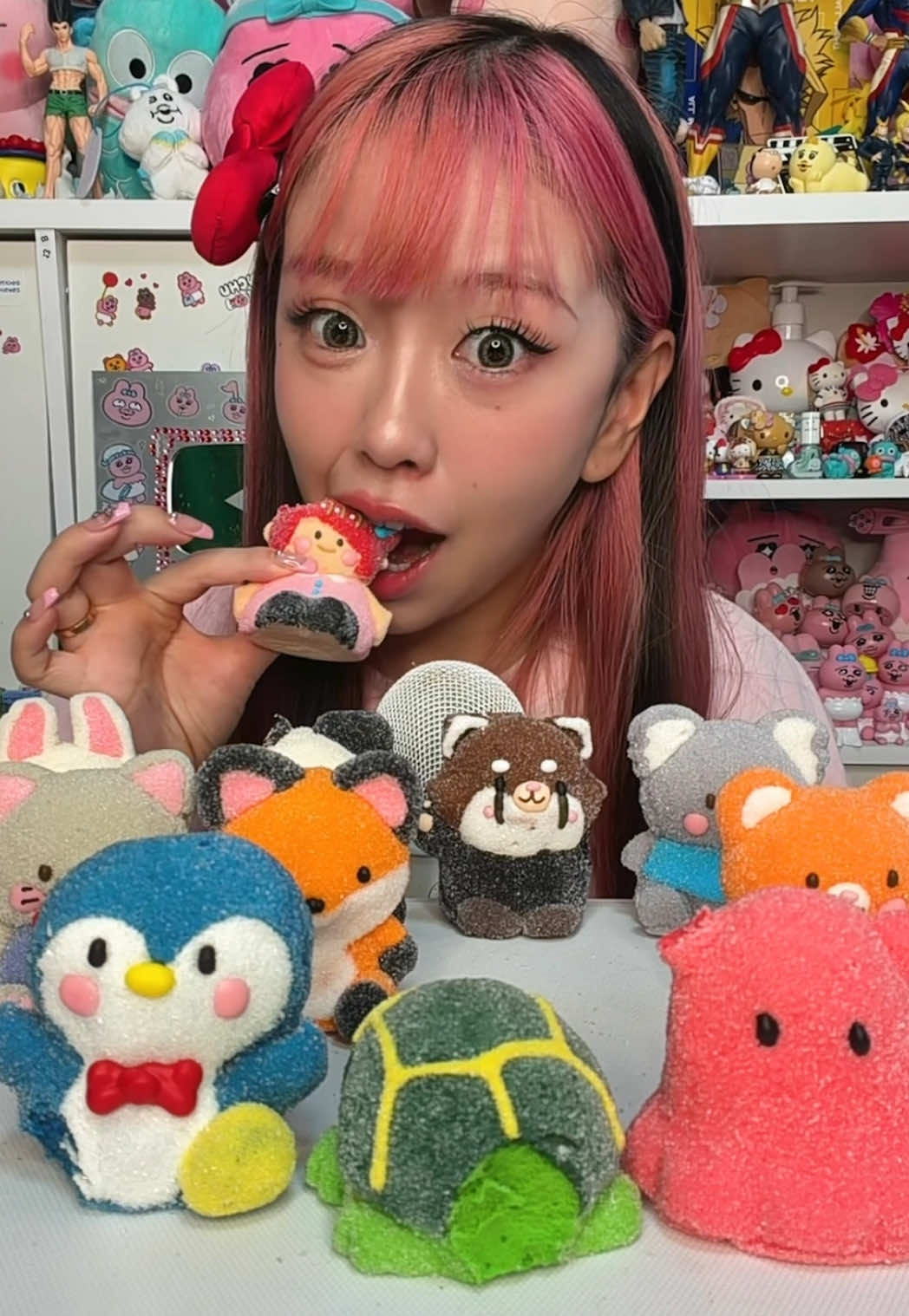 @矯正ちゃん🦷kotty【YouTube】