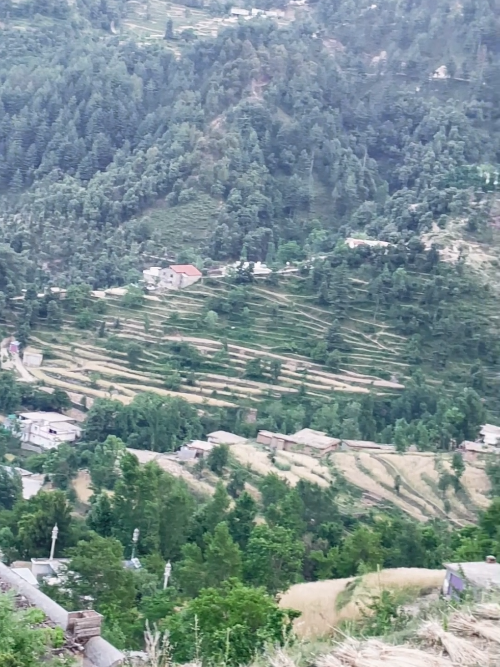 @🌲غر سنے 🌲
