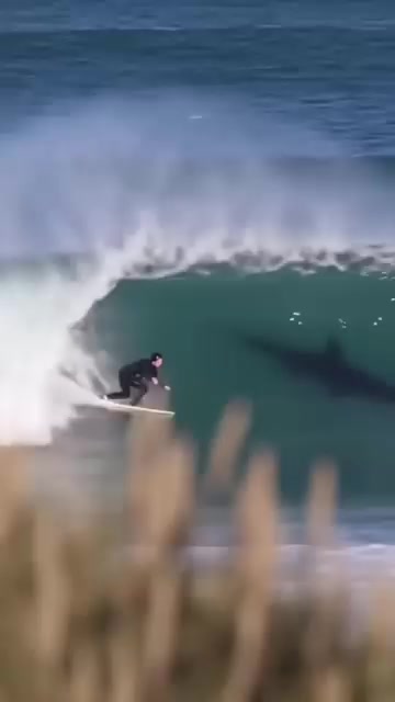 @𝓐𝓵𝓯𝓻𝓮𝓭𝓸