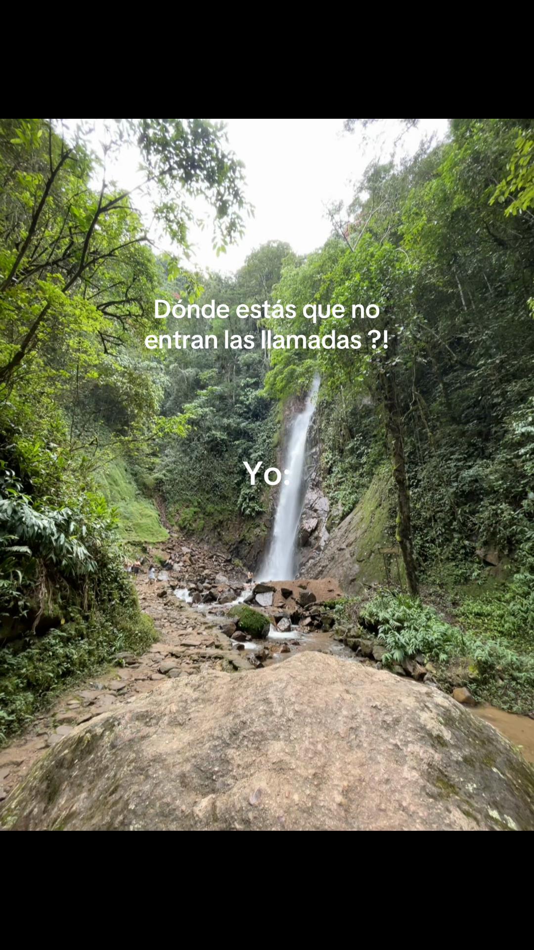 @𝐁𝐫𝐢 🐱