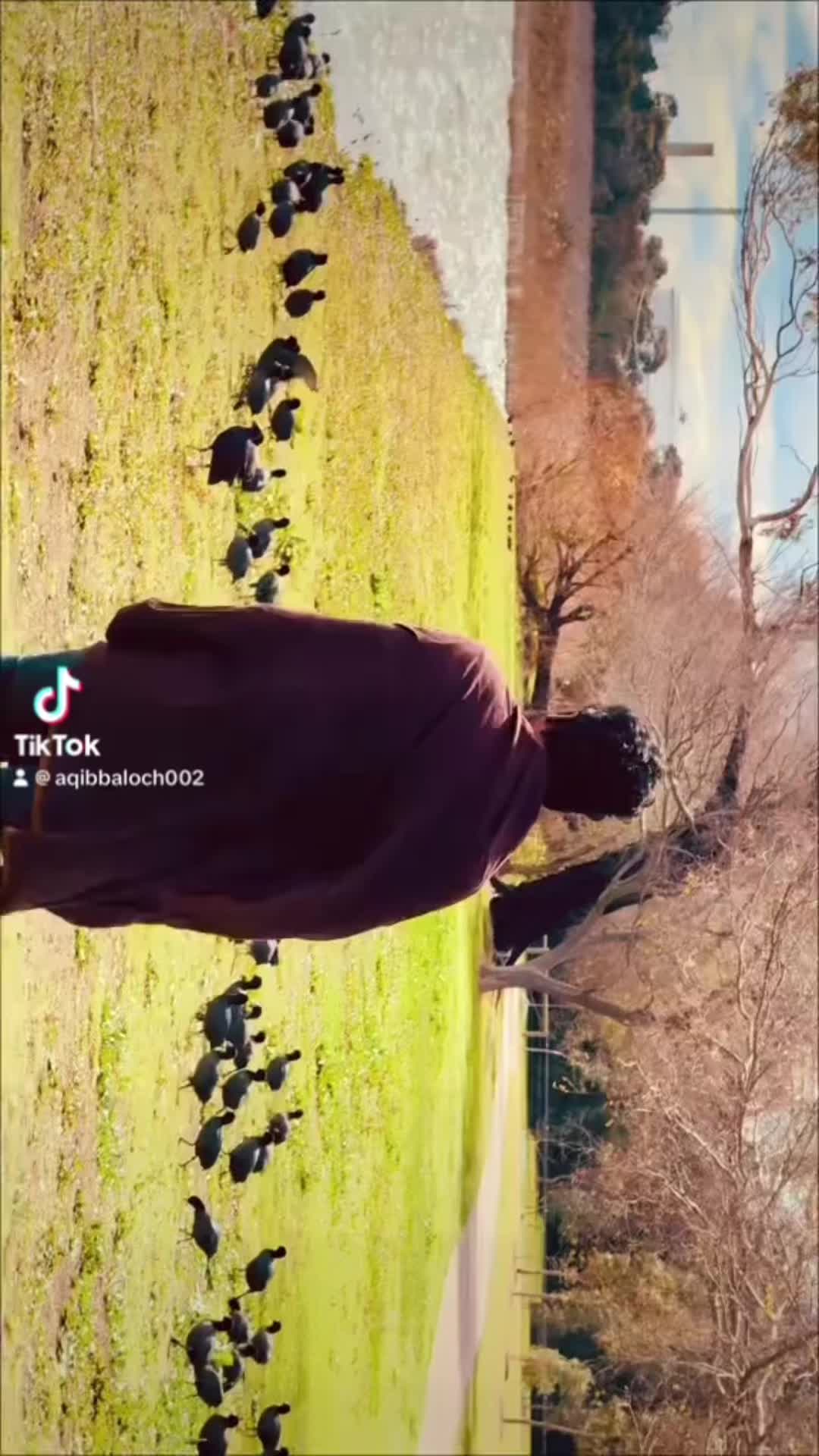 @aqibbaloch0022🇦🇺