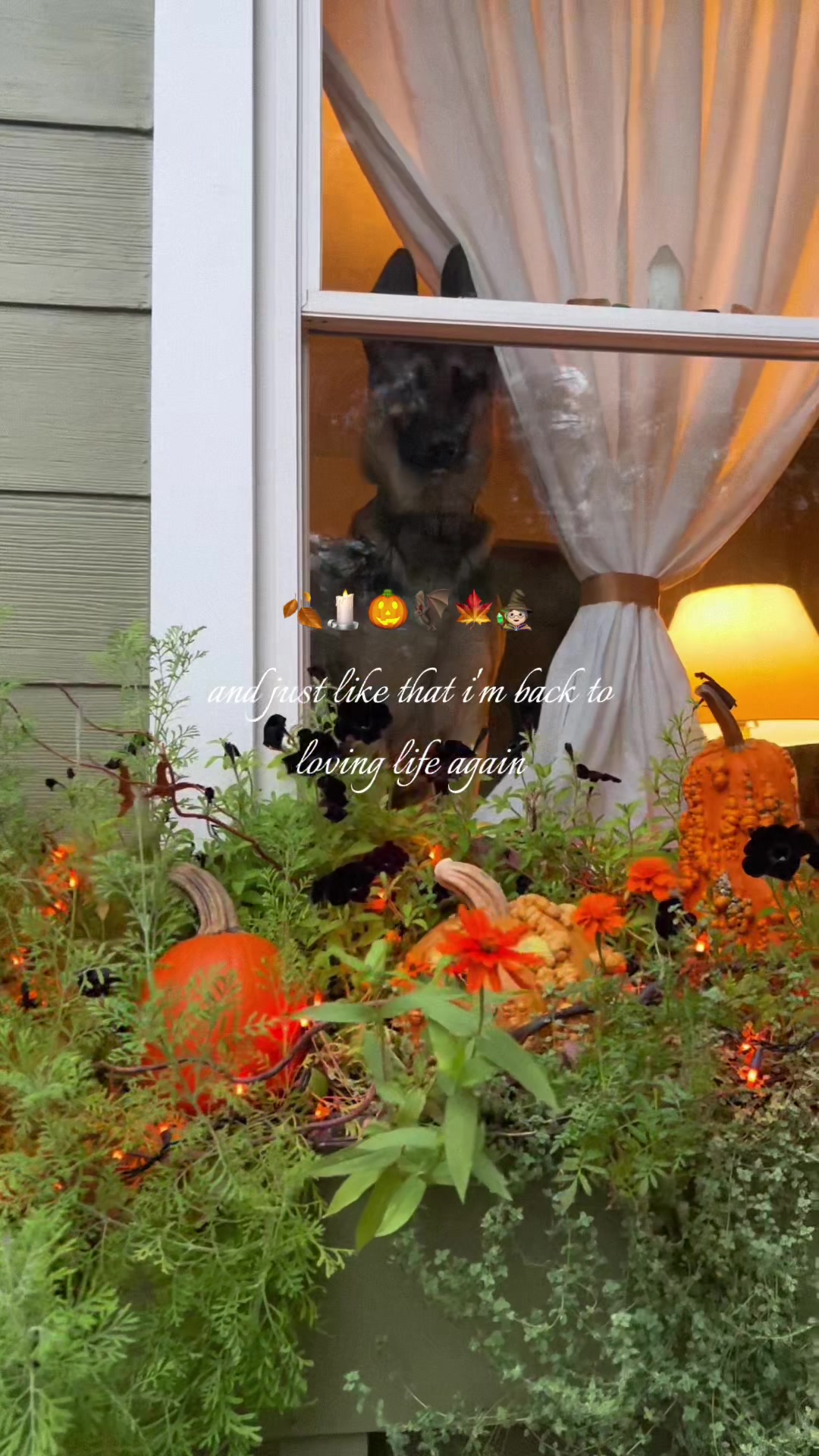 @Fall Girl Diaries ๐